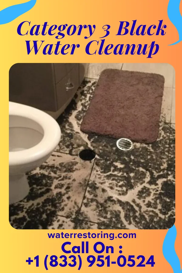 Category 3 Black Water Cleanup in Issaquah, WA